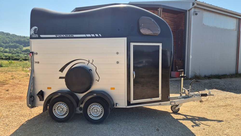 Occasion Van 2 places Gold 2 avec sellerie – Noir - Image 11