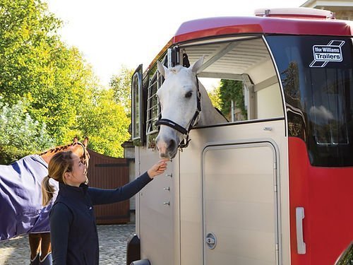 Ifor Williams – Hbx 506 – 2 Places – Neuf